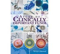 Atlas of Clinically Important Fungi by Sciortino & Carmen V. & Jr. Sciortino Carmen V. Jr. (Auteur)