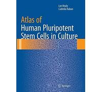 Atlas Of Human Pluripotent Stem Cells In Culture