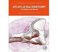 Atlas Of The Anatomy Of Dolphins And Whales