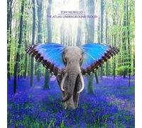 Atlas Underground Flood