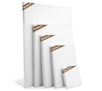 Atliberswo Lot de 5 petites toiles à peindre - Mini toile - 15 x 15 cm - Pour peintures acryliques pour artistes, amateurs, débutants, enfants (Lot de 5 (tailles mixtes))