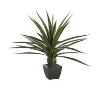 Green Potted Plant Height 130 - Natural Instinct