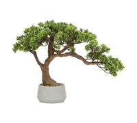 Atmosphera - Bonsaï Artificiel en Pot polin Pot en céramique Vert h45cm