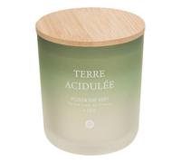 Atmosphera - Bougie parfumée 255 g sana yuzu et thé vert
