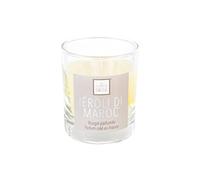 Comptoir de la Bougie - Bougie Parfumée "Elea" 190g Néroli du Maroc Gris G