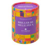 Atmosphera - Bougie parfumée Jomy - freesia en fleur - 200g