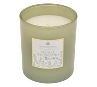 Atmosphera - Bougie parfumée Mael - eucalyptus 190g