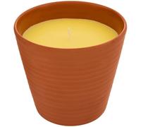 ATMOSPHERA Bougie parfumée Terry parfum citronnelle - 200 g