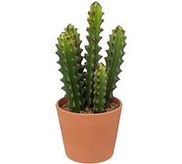 Atmosphera - Cactus Artificiel Ali - H25 cm