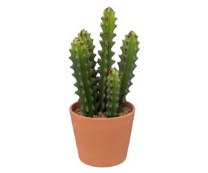 Atmosphera - Cactus Artificiel Ali - H25 cm