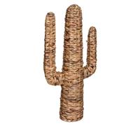 Cactus ""Hacienda"" jacinthe d eau H75cm - Atmosphera createur d'interieur