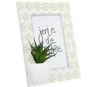 Atmosphera - Cadre photo tropical Cactus - Blanc - Cactus Blanc G