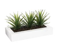 Atmosphera - centre de Table Aloe Vera H17