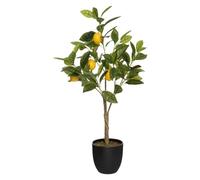 Atmosphera Créateur d'intérieur - Plante Artificielle "Citronnier" 73cm Multicolore noir G