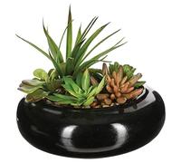 ATMOSPHERA CREATEUR D'INTERIEUR Composition Plantes artificielles Plantes Vertes