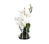 Atmosphera - Composition orchidée en Vase H37