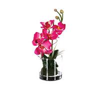 Atmosphera - Composition orchidée en Vase H37