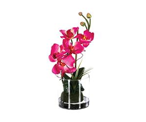 Atmosphera - Composition orchidée en Vase H37