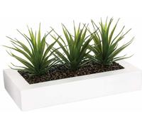 Atmosphera Créateur d'intérieur Aloe vera artificiel 3 pcs. Plastique Plaque MDF blanc vert marron 17,5 cm x 35 cm x 15 cm
