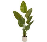 Atmosphera Créateur d'intérieur - Bananier Artificiel 3 Troncs "Lora" 140cm Vert