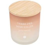 Atmosphera Créateur d'intérieur - Bougie Parfumée en Verre "Sana" 255g Terre des Merveilles G