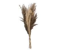 Atmosphera Créateur d'intérieur - Bouquet de Fleurs Séchées Pampa 58cm Naturel