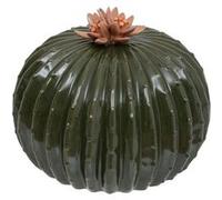 Cactus boule déco Exotic panama H.20cm céramique - Atmosphera createur d'interieur