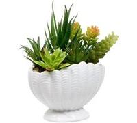 Créateur d'intérieur - Composition Artificielle Pot Coquillage "Ocea" 20cm Blanc