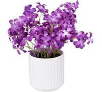 Atmosphera Créateur d'intérieur - Composition Florale & Vase "Violette" 27cm Violet Violet G