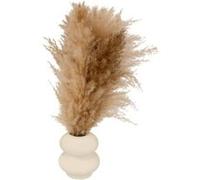 Atmosphera Créateur d'intérieur - Composition Pampa Artificielle "Glen" 42cm Blanc Blanc G