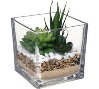 Créateur d'intérieur - Composition Plante Artificielle 15cm Transparent