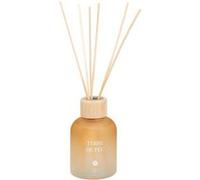 Atmosphera - Diffuseur de parfum terre de feu 150ml