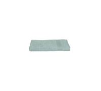 Atmosphera Créateur d'intérieur - Drap de Bain "Confort" 100x150cm Givre