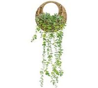 Atmosphera Créateur d'intérieur – Plante artificielle suspendue Zéa – Eucalyptus 70 cm