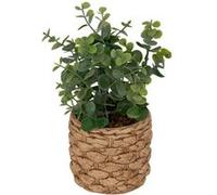 Atmosphera Créateur d'intérieur - Eucalyptus Artificiel en Pot "Jaye" 27cm Vert Vert G