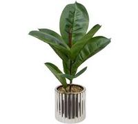 Atmosphera - Ficus Pot crmq AR Sky h54
