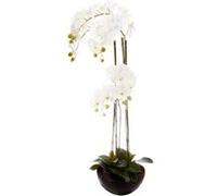 Atmosphera Créateur d'intérieur - Fleur Artificielle en Pot "Orchidée" 115cm Blanc Blanc, Blanc G