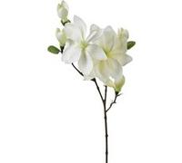 Atmosphera Créateur d'intérieur - Fleur Artificielle "Magnolia" 83cm Blanc Blanc G