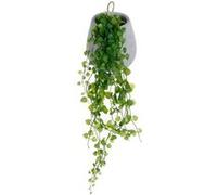 Atmosphera Créateur d'intérieur - Lierre Artificiel en Pot "Mailo" 62cm Gris Clair Gris G