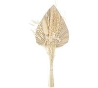 Atmosphera Créateur d'intérieur - Mini Bouquet de Fleurs Naturelles Seav 30cm Beige G