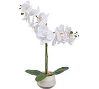 Atmosphera Créateur d'intérieur - Orchidée Artificielle en Pot Clera 52cm Blanc Blanc G