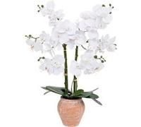 Orchidée artificielle ""Dena"" H65cm rose terracotta - Atmosphera Créateur d'intérieur