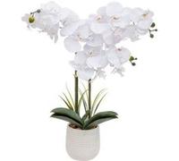 Atmosphera Créateur d'intérieur - Orchidée Artificielle en Pot "Riva" 60cm Blanc Blanc G