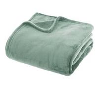 Atmosphera Créateur d'intérieur - Plaid en Flanelle Uni "Ollis" 180x230cm Vert Céladon Vert