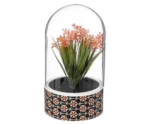 ATMOSPHERA CREATEUR D'INTERIEUR Plante Ali Cloche H21cm