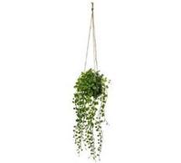 Atmosphera Créateur d'intérieur - Plante Artificielle à Suspendre "Living" 62cm Vert Vert G