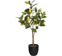Atmosphera Créateur d'intérieur - Plante Artificielle "Citronnier" 73cm Multicolore noir G