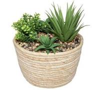 Créateur d'intérieur - Plante Artificielle "Composition" 18cm Naturel & Vert