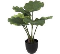 Atmosphera Créateur d'intérieur - Plante Artificielle Déco "Palmier" 65cm Vert & Noir Vert G