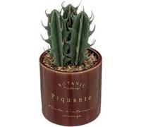 Créateur d'intérieur - Plante Artificielle en Pot Déco Bota 14cm Marron